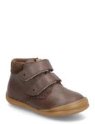 Shoes - Flat - With Velcro Brown ANGULUS