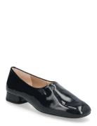 Cuntis_Ver Black UNISA