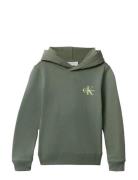 Small Monogram Hoodie Green Calvin Klein