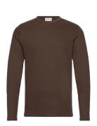Basic O-Neck Tee L/S Brown Lindbergh