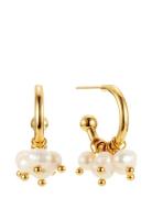 Palma Mini Hoop Gold By Jolima