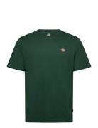 M Ss Mapleton Tee Green Dickies