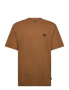 M Summerdale Ss Tee Brown Dickies