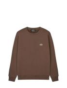 Standard Crew Logo Sweat Brown Mads Nørgaard
