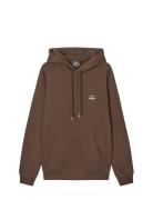 Standard Hoodie Logo Sweat Fav Brown Mads Nørgaard