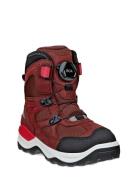 Snow Mountain Red ECCO