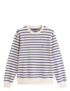 Essential Terry Stripe Crewneck Patterned Tommy Hilfiger