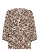 Sc-Samea Brown Soyaconcept