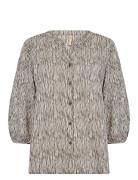 Sc-Saima Brown Soyaconcept