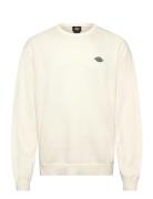 M Summerdale Sweater Cream Dickies