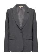 Sc-Venus Grey Soyaconcept