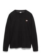 Mapleton Ls Tee Black Dickies