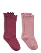 2 Pack Ribbed Socks Burgundy Mango