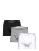 Trunk 3Pk White Calvin Klein