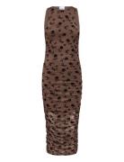 Leanna Dress Brown Noella