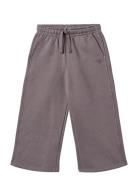 Sweatpants Straight Cruz Purple Wheat