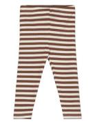 Tnsbfro Rib Leggings Brown The New