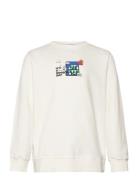 Tnphillip Sweatshirt White The New