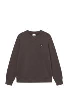 Wwtye Brown WOOD WOOD