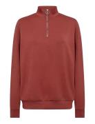 Sc-Banu Brown Soyaconcept