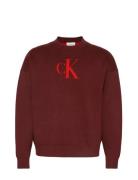 Ls Cttn Cashmere 3D Logo Crwnk S Red Calvin Klein Jeans