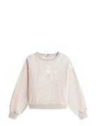 Varsity Crest Fleece Swtshrt Beige Tommy Hilfiger