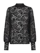 Sc-Algea Black Soyaconcept