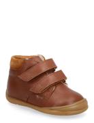 Shoes - Flat - With Velcro Brown ANGULUS