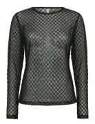 Sc-Asima Black Soyaconcept