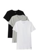 S/S Crew Neck 3Pk Patterned Calvin Klein