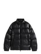 Shiny Down Stand Puffer Black Tommy Hilfiger