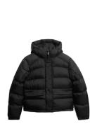 Hooded Tech Padded Jkt Black Superdry Sport