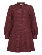Vitaliama L/S Jaqcuard Dress Burgundy Vila