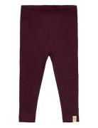 Legging Modal Burgundy Petit Piao