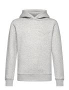 Tonal As Hoodie Grey GANT