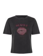 Cmmuse-Tee Black Copenhagen Muse