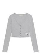 A-Ls Woven Label 2X2 Cotton Rib Grey Calvin Klein Jeans