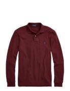 Basic Mesh-Lsl-Knt Burgundy Polo Ralph Lauren