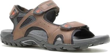 Men's Milos Brown