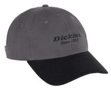 Dickies Twill Dad Hat Graphite