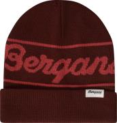 Bergans Juniors' Logo Beanie Amarone Red/Rusty Dust