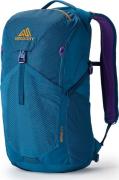 Gregory Unisex Nano 24 L  Icon Teal