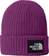 The North Face Kids' Salty Dog Beanie Deep Mulberry