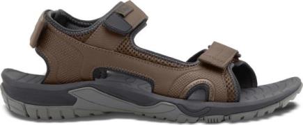 Jack Wolfskin Men's Lakewood Cruise Sandal Cold Coffee