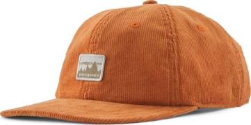 Patagonia Men's Corduroy Cap '73 Skyline: Robin Brown
