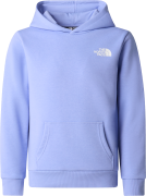 The North Face Teens' Simple Dome Light Regular Hoodie Periwinkle Glow