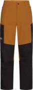 Jack Wolfskin Men's Ridge Hike Pants Autumn Leaves