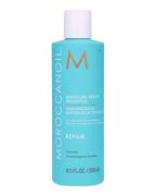 Moroccanoil Moisture Repair Shampoo 250 ml