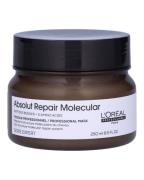 Loreal Absolut Repair Molecular Mask 250 ml