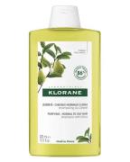 Klorane Purifying Shampoo 400 ml